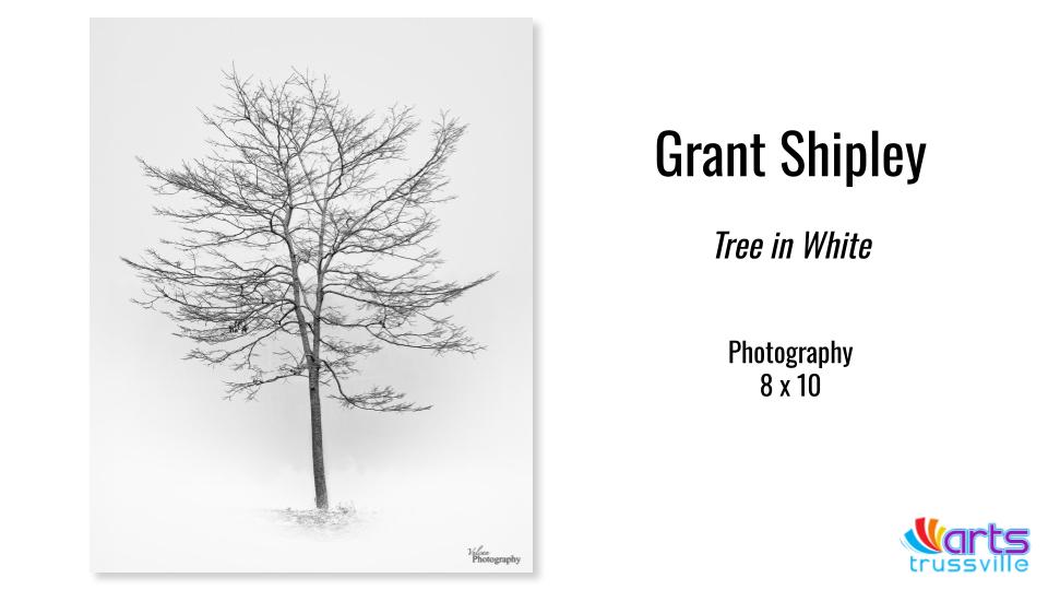 Grant Shipley, Tree in White