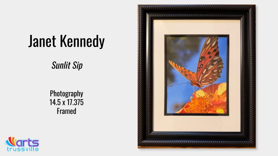 Janet Kennedy, Sunlit Sip